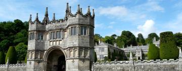 Pet-Friendly Hotels in Bodmin