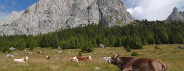 Hoteluri în San Vito di Cadore