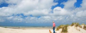 Viesnīcas ar autostāvvietu pilsētā Midsland aan Zee