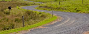 Familiehoteller i Pukekohe East