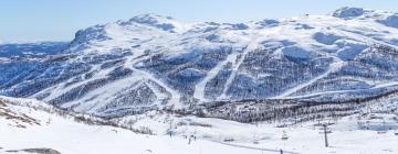 Chaleter i Hemsedal