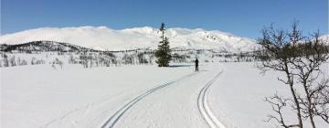 Ferieboliger på Rauland