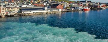 Kjæledyrvennlige hoteller i Vardø