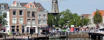 Allotjaments vacacionals a Leiden