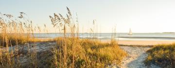 Gæludýravæn hótel í Hilton Head Island