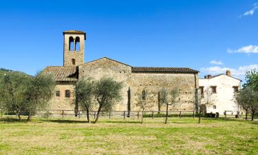 Дома для отпуска в городе Castelfranco di Sopra