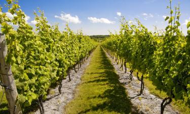 Hoteles en Sankt Margarethen im Burgenland