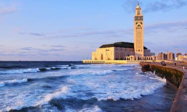 Hotéis que aceitam pets em Casablanca