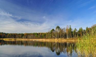 Hotels in Wierzchowiska