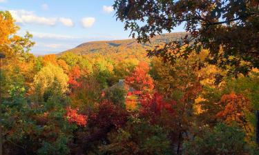 Hôtels à Tannersville