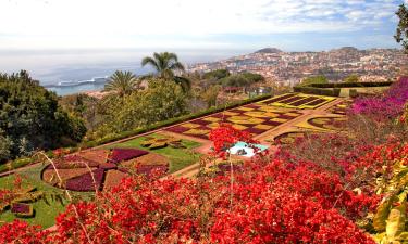 Mga apartment sa Funchal