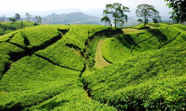 Goedkope vakanties in Bandung