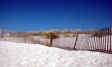 Hoteluri la plajă în Gulf Shores