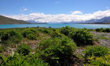 Hostels in Lake Tekapo