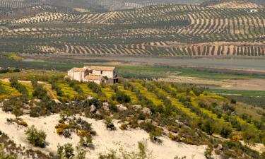 Cottages à Martos