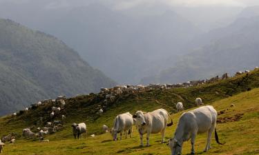 Hoteli u gradu 'Tarascon sur Ariège'