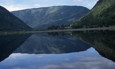 Hotel pet friendly a Seljord