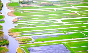 Cama e cafés (B&Bs) em Broek in Waterland