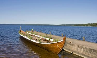 Husdjursvänliga hotell i Tällberg