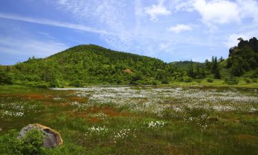 Hotels in Kusatsu