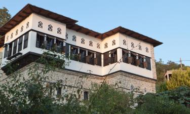 Hotell i Vyzitsa