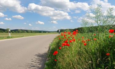 Hôtels à Zusmarshausen