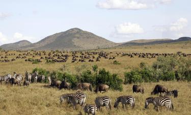 Lodges à Réserve nationale du Masai Mara