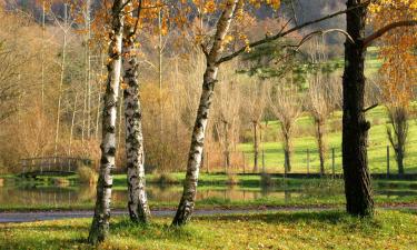 Hoteles en Niederbronn-les-Bains