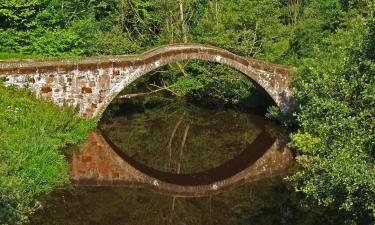 Vacances barates a Motherwell