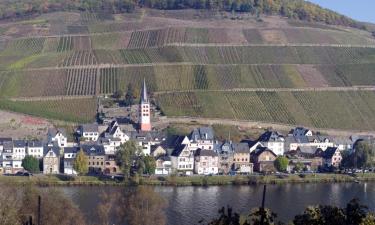 Hotelek Zell an der Moselben