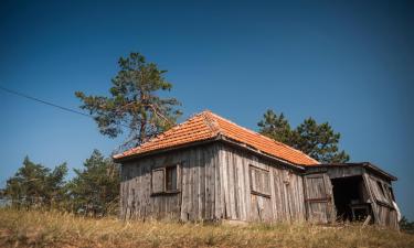 Готелі-люкс у місті Дівчибаре