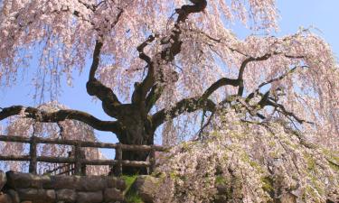 Hotels a Hirosaki