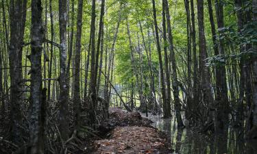 Hôtels pour les familles à Cần Giờ