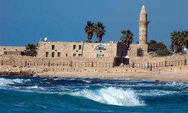 Hotel Mesra Haiwan Peliharaan di Caesarea