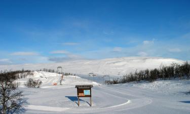 Ferieboliger i Geilo