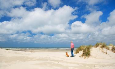 Viešbučiai su vietomis automobiliams mieste Midsland aan Zee