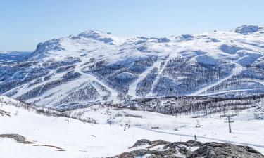 Hytter i Hemsedal