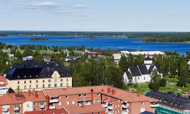 Husdjursvänliga hotell i Piteå