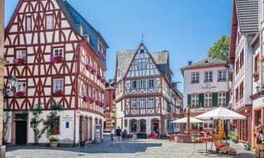 Hotels in Mainz