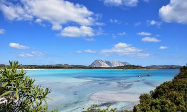 Hoteles en San Teodoro