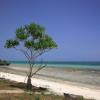 Hoteles de playa en Mtwapa