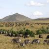 Hôtels de Luxe à Réserve nationale du Masai Mara