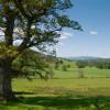 Bed and breakfasts a Crieff