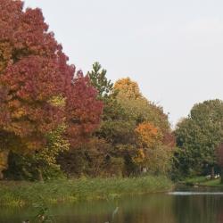 Mepelis Atostogų būstai (5)