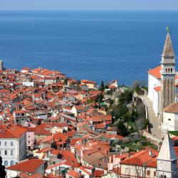 Piran 242 apartamenty