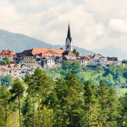 Radovljica 3 glamping sites