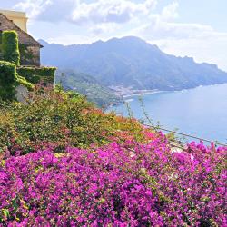 Ravello 181 otel