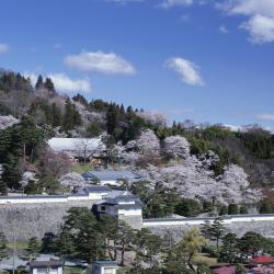 Nihommatsu 5 ryokan