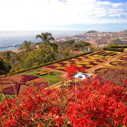 Funchal 1183 hotel