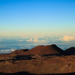 Kailua-Kona Svečius su gyvūnais priimantys viešbučiai (15)